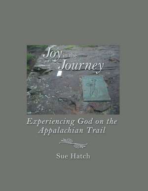 Joy in the Journey de Sue Hatch