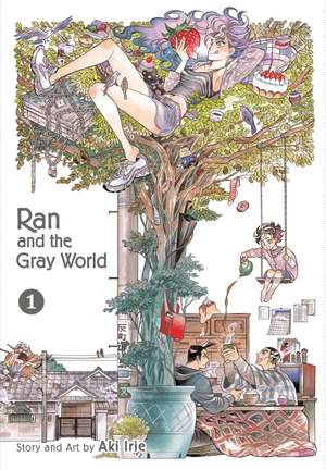 Ran and the Gray World, Vol. 1 de Aki Irie