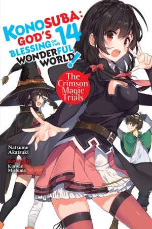 Konosuba: God's Blessing on This Wonderful World!, Vol. 14 light novel de Natsume Akatsuki