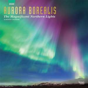 Aurora Borealis: The Magnificent Northern Lights - Nordlicht 2020 - 18-Monatskalender de Inc Browntrout Publishers