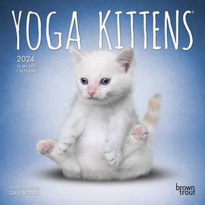 Yoga Kittens 2024 Mini 7x7 de Browntrout