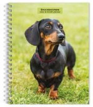 Dachshunds 2025 6 X 7.75 Inch Spiral-Bound Wire-O Weekly Engagement Planner Calendar New Full-Color Image Every Week de Browntrout