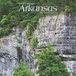 Arkansas Wild & Scenic 2025 12 X 24 Inch Monthly Square Wall Calendar Plastic-Free de Browntrout