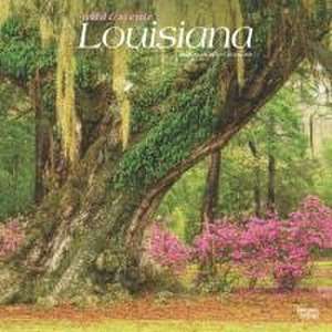 Louisiana Wild & Scenic 2025 12 X 24 Inch Monthly Square Wall Calendar Plastic-Free de Browntrout