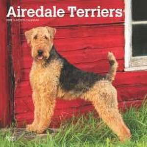 Airedale Terriers 2025 12 X 24 Inch Monthly Square Wall Calendar Plastic-Free de Browntrout