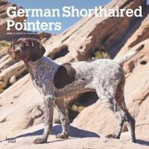 German Shorthaired Pointers 2025 12 X 24 Inch Monthly Square Wall Calendar Plastic-Free de Browntrout