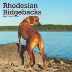 Rhodesian Ridgebacks 2025 12 X 24 Inch Monthly Square Wall Calendar Plastic-Free de Browntrout