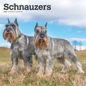 Schnauzers 2025 12 X 24 Inch Monthly Square Wall Calendar Plastic-Free de Browntrout