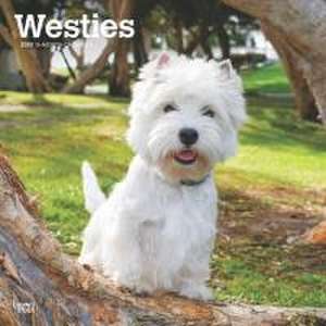 West Highland White Terriers 2025 12 X 24 Inch Monthly Square Wall Calendar Plastic-Free de Browntrout