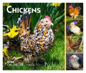 Chickens 2025 6 X 5 Inch Daily Desktop Box Calendar New Page Every Day de Browntrout