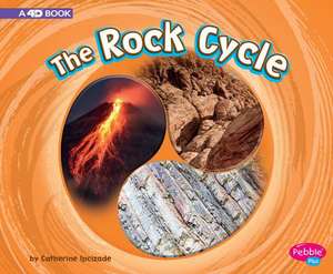 The Rock Cycle de Catherine Ipcizade