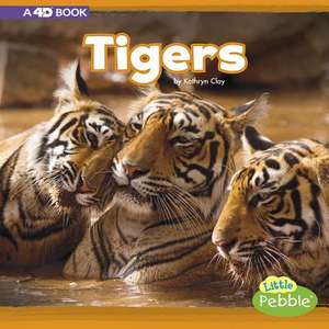 Tigers de Kathryn Clay