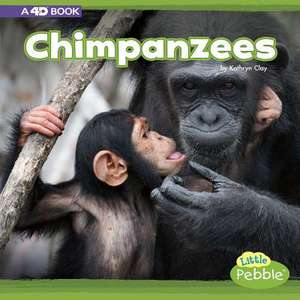 Chimpanzees de Kathryn Clay