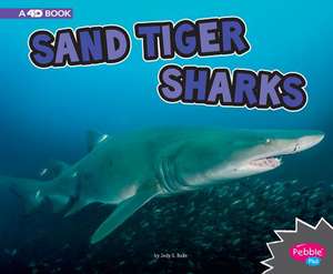 Sand Tiger Sharks de Jody S. Rake