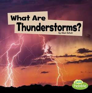 What Are Thunderstorms? de Mari Schuh