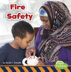 Fire Safety de Sarah L. Schuette