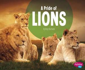 A Pride of Lions de Amy Kortuem