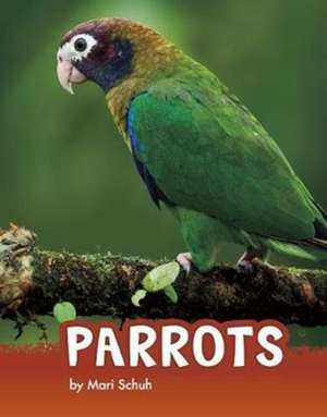 Parrots de Mari Schuh