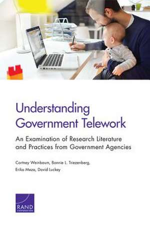 Understanding Government Telework de David Luckey