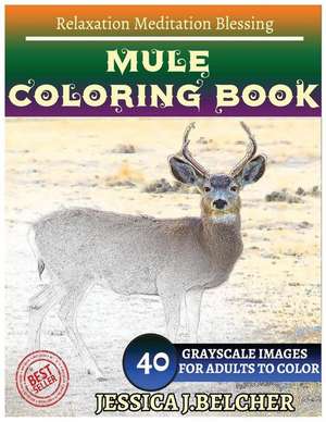 Mule Coloring Books de Belcher, Jessica