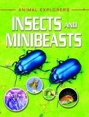 Insects and Minibeasts de Clare Hibbert