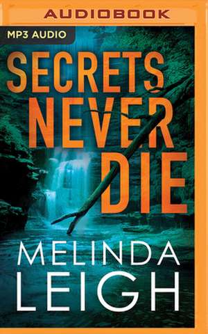 Secrets Never Die de Melinda Leigh