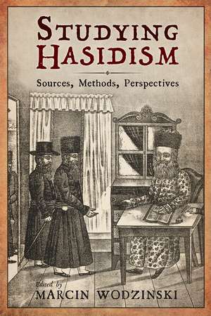 Studying Hasidism: Sources, Methods, Perspectives de Marcin Wodzinski