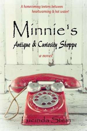 Minnie's Antique & Curiosity Shoppe de Lucinda Stein