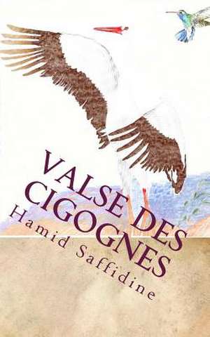 Valse Des Cigognes de Hamid Saffidine