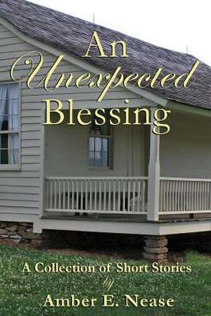 An Unexpected Blessing de Nease, Amber E.