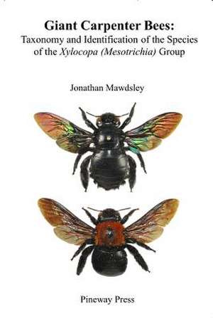 Giant Carpenter Bees de Mawdsley, Jonathan Ralph