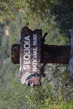 Sequoia National Park Notebook de Wild Pages Press