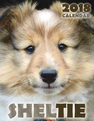 Sheltie 2018 Calendar de Over the Wall Dogs