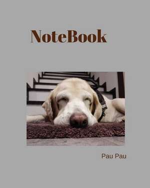 Notebook de Pau Pau