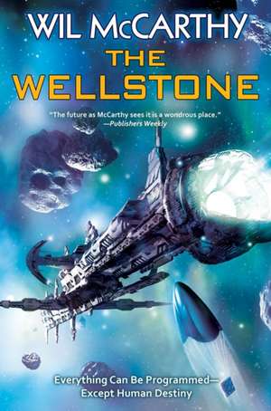 The Wellstone de Wil Mccarthy