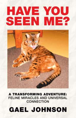 Have You Seen Me? de Gael Johnson