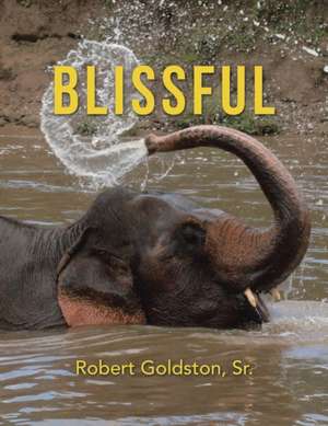 Blissful de Robert Goldston Sr.