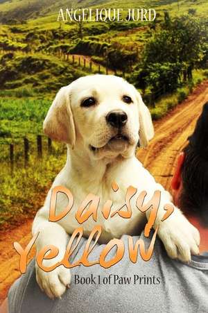 Jurd, A: Daisy, Yellow