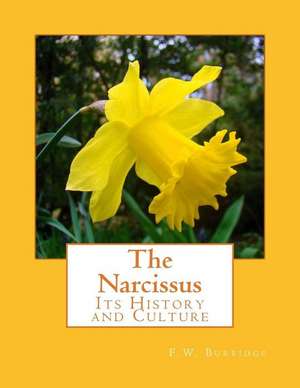 The Narcissus de F. W. Burbidge