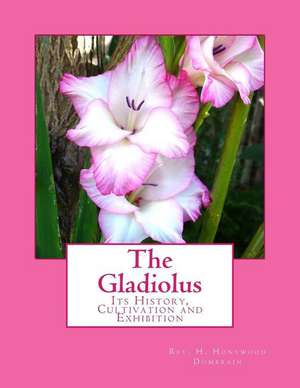 The Gladiolus de Dombrain, Rev H. Honywood