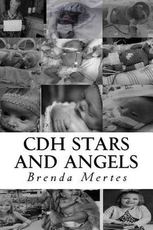 Cdh Stars and Angels de Mertes, Brenda M.