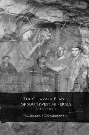 The Cleavage Planes of Southwest Minerals [A Love Story] de Dombrowski, Rosemarie