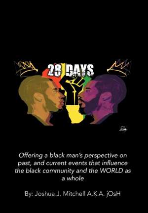 28 Days de Joshua J. Mitchell