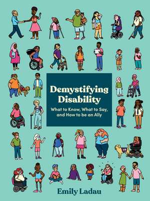 Demystifying Disability de Emily Ladau