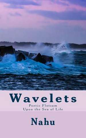 Wavelets de Nahu Lanham