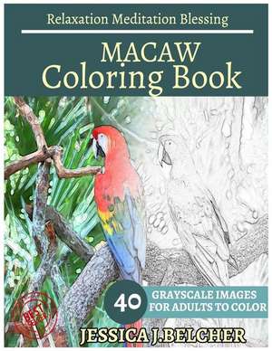 Macaw Coloring Book for Adults Relaxation Meditation Blessing de Belcher, Jessica