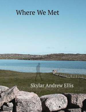 Where We Met de Skylar Ellis