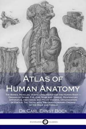 Atlas of Human Anatomy de Bock Bock, Carl Ernst