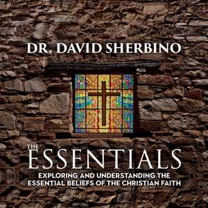 The Essentials de David Sherbino