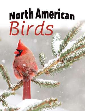 North American Birds